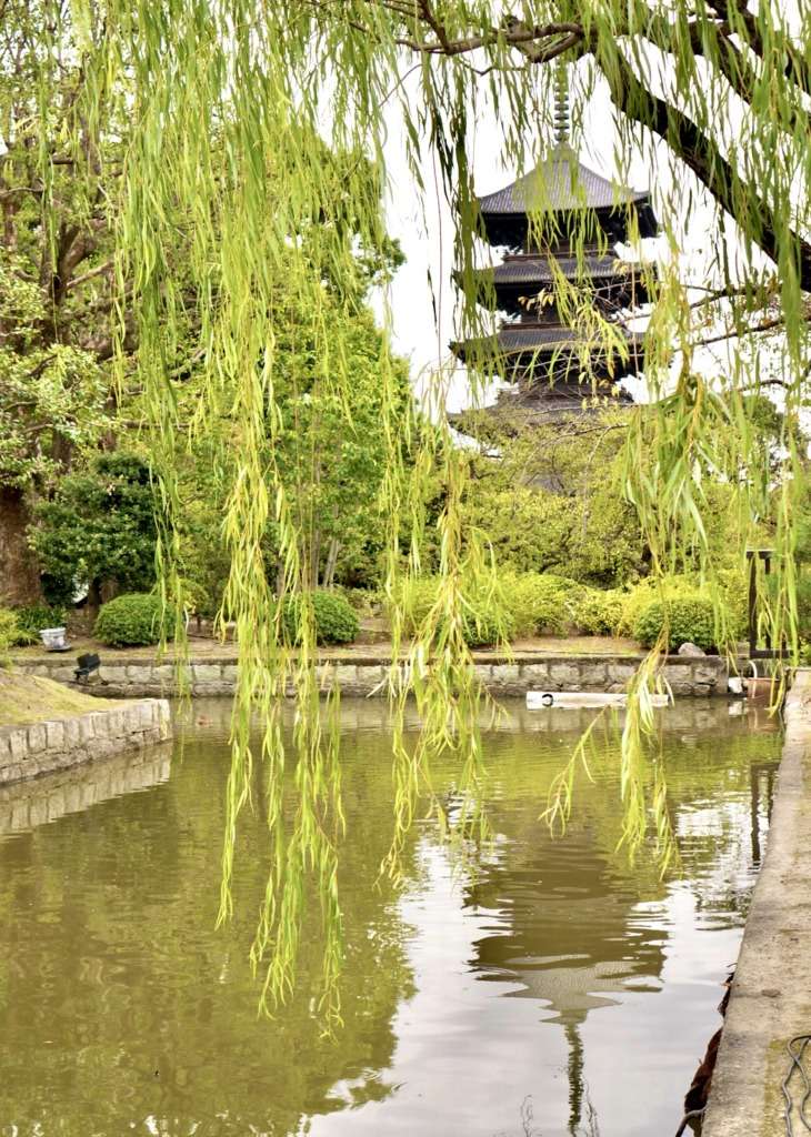 京都・東寺の五重塔